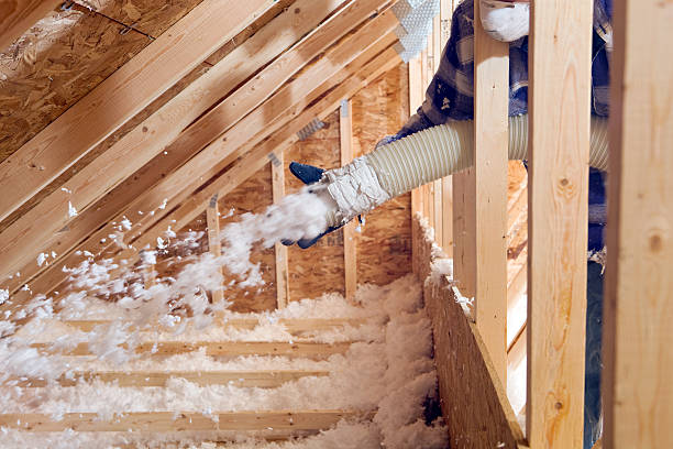 Best Radiant Barrier Insulation  in Big Bear Lake, CA